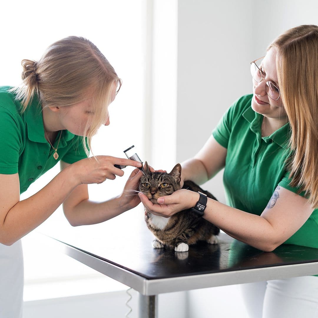 tradelios contact us image